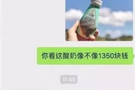 网贷电话催收判：法律视角下的权益保护