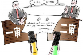 肥西追债公司排名：揭秘优质追债服务提供商