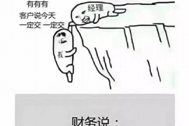 达孜讨债公司排名前十名：揭秘高效债务追收机构