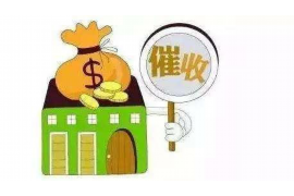 收到网贷短信催收函：如何应对及预防