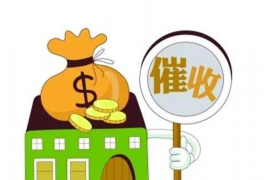 新蔡要钱公司：揭秘新型金融服务模式