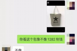 钱呗钱包怎么催收：全面解析催收流程及技巧