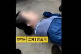 要账期间梦见蛇：揭秘梦境背后的心理暗示